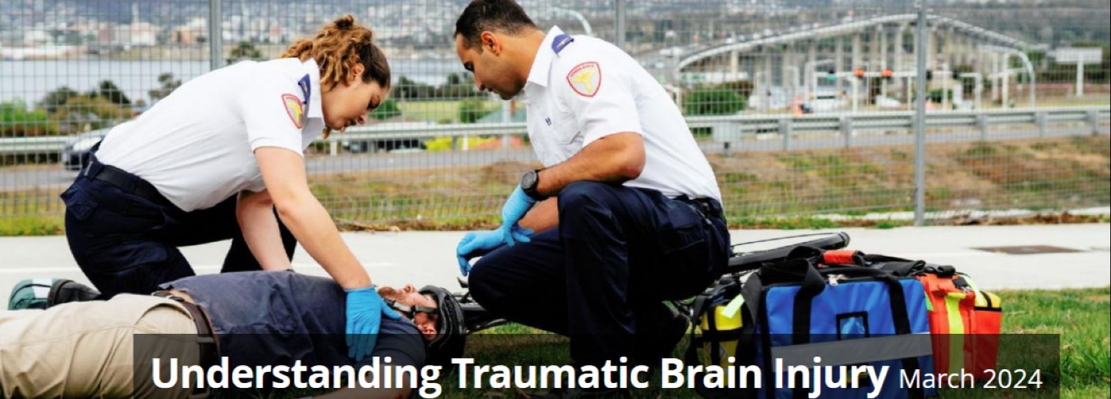 Traumatic Brain Injury as a risk factor for dementia