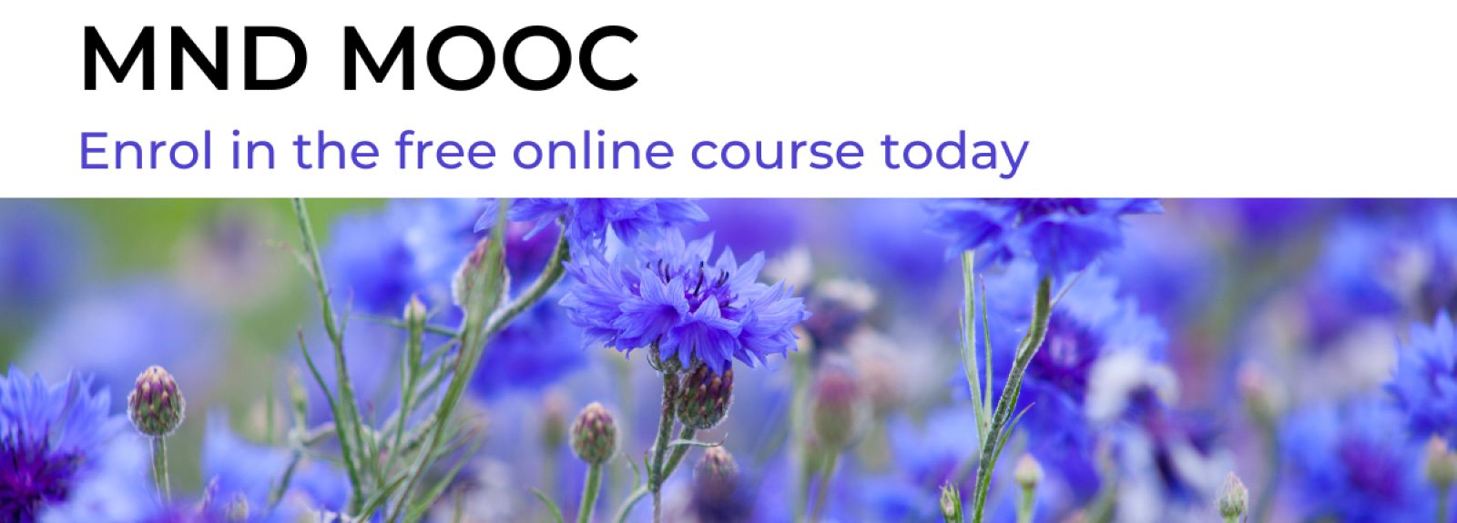New Motor Neurone Disease (MND) MOOC