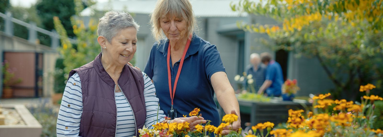 2024 Wicking Dementia Centre Annual Report