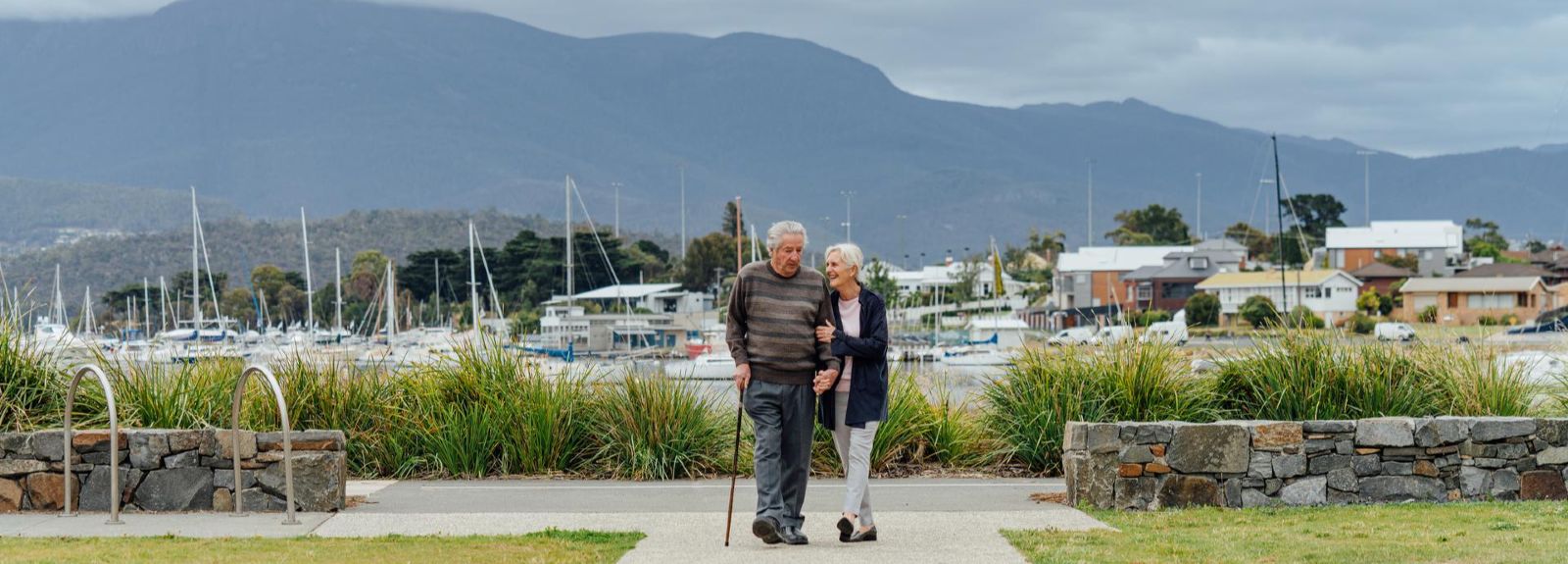Dementia risk factor focus: Cardiovascular health