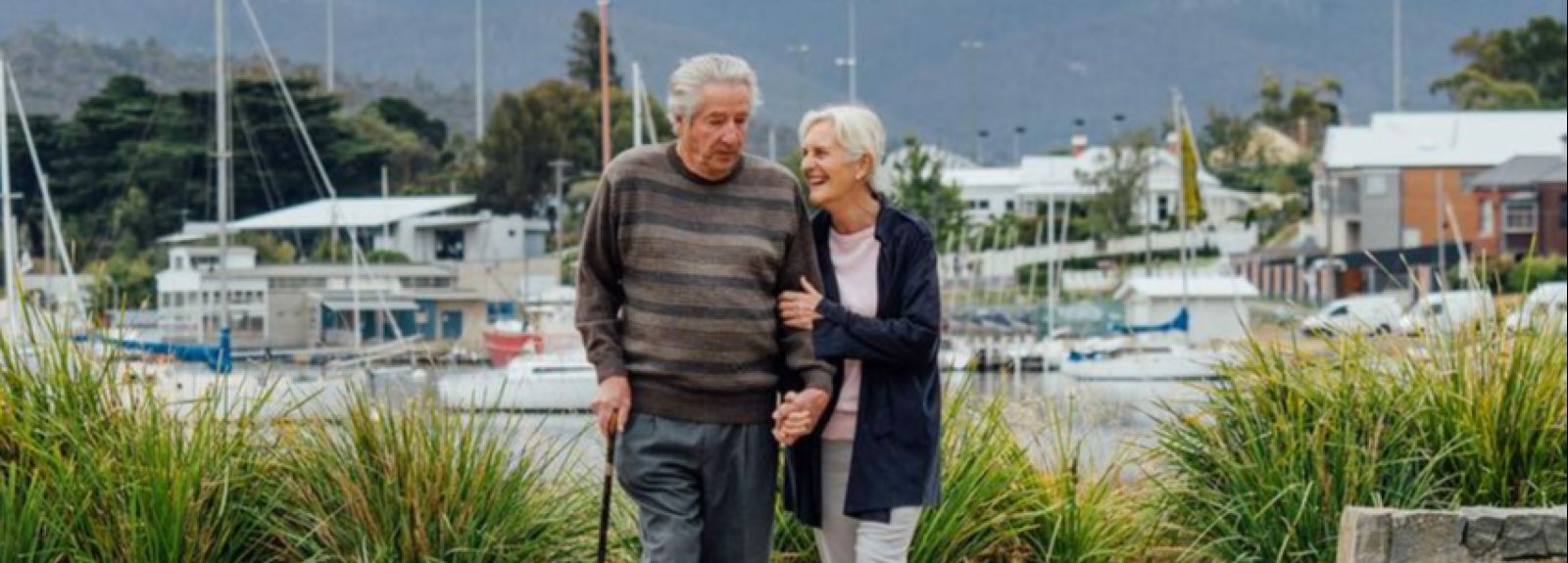 Recent dementia risk research